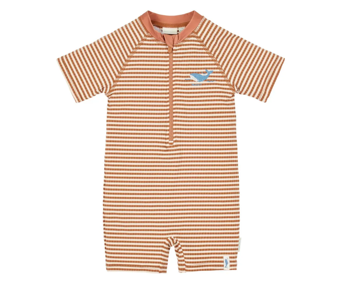 Bañador con Cremallera Ocean Brown Stripes
