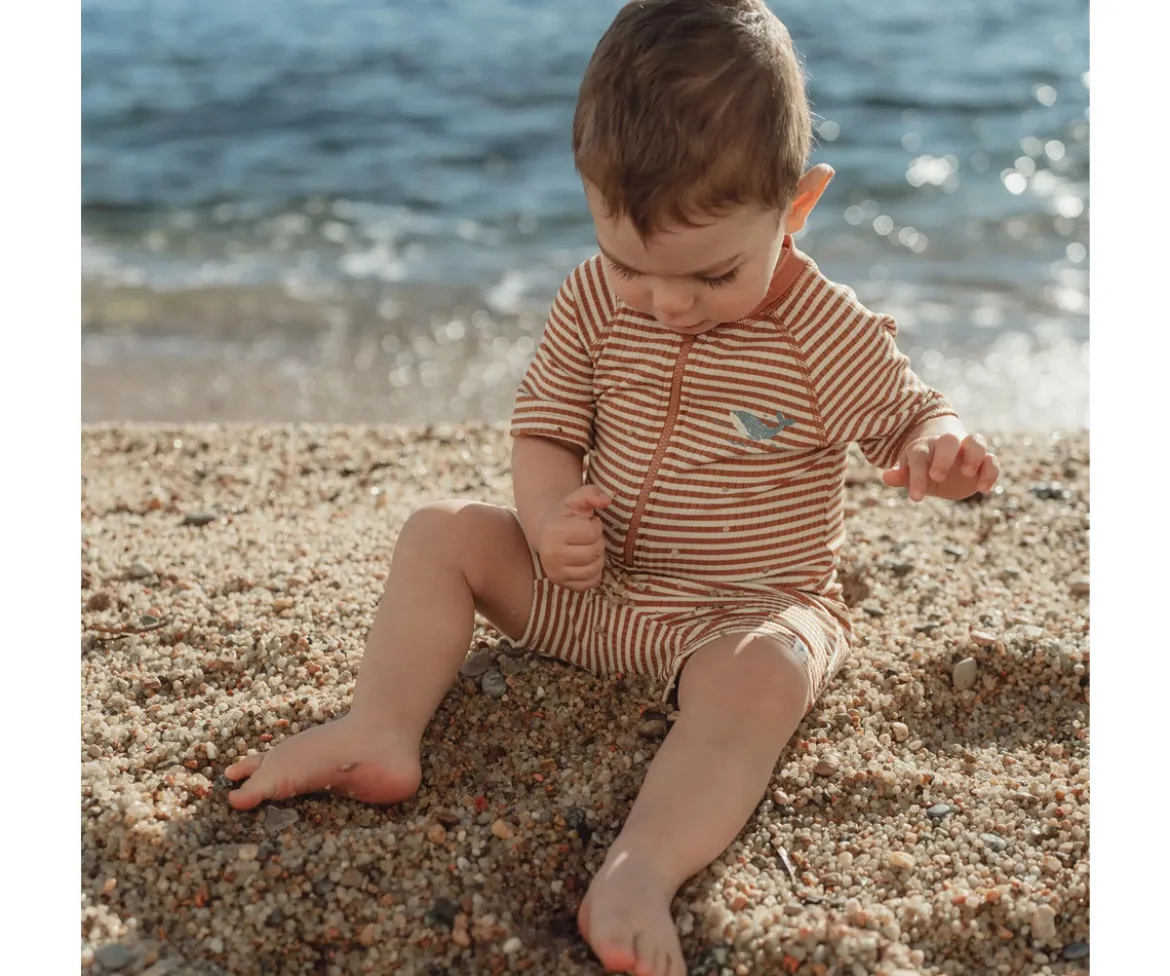 Bañador con Cremallera Ocean Brown Stripes