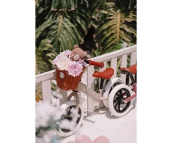 Bicicleta Equilibrio Premium Ligth Taupe