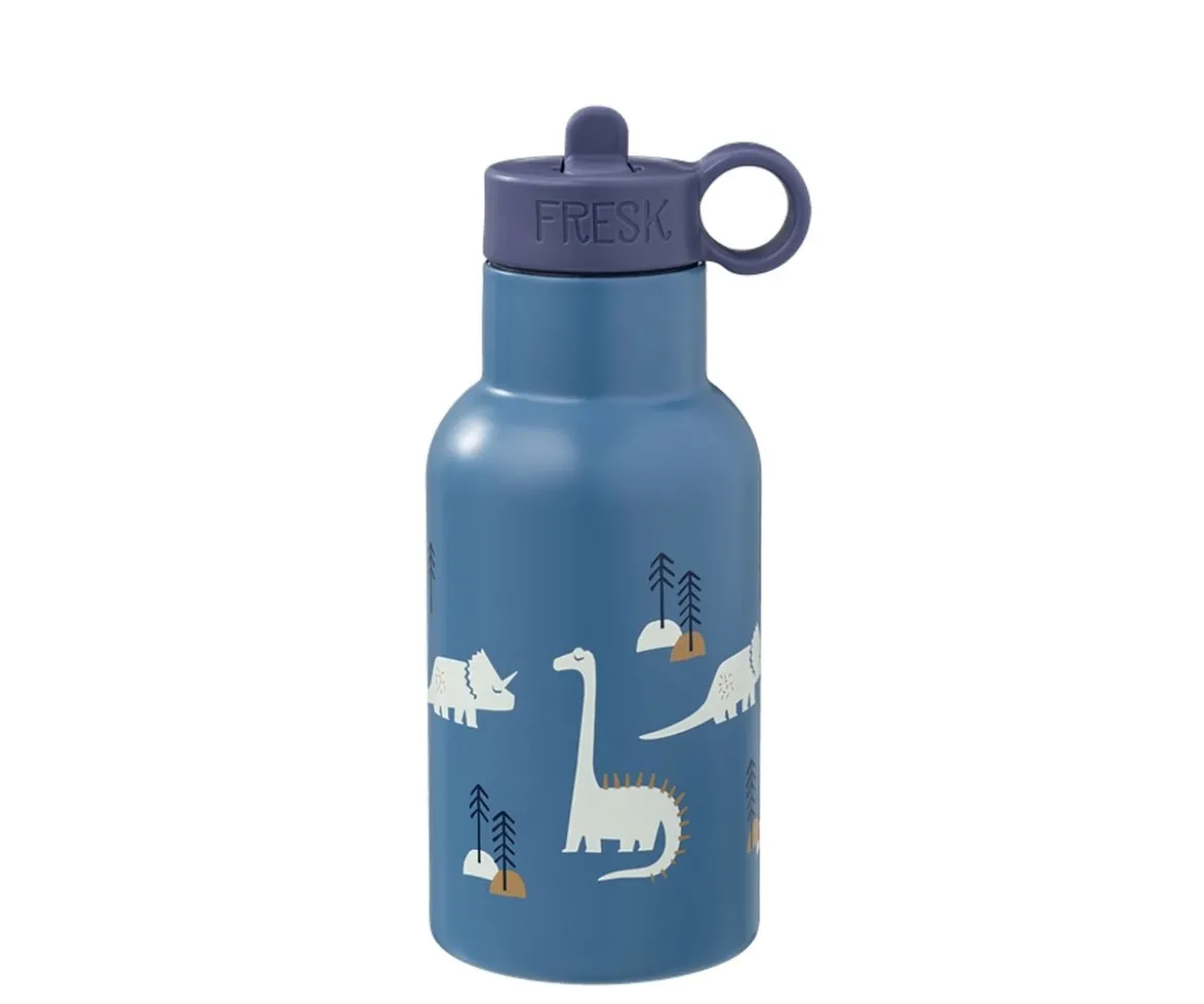 Botella Térmica con Boquilla Recambio Dinosaurios 350ml