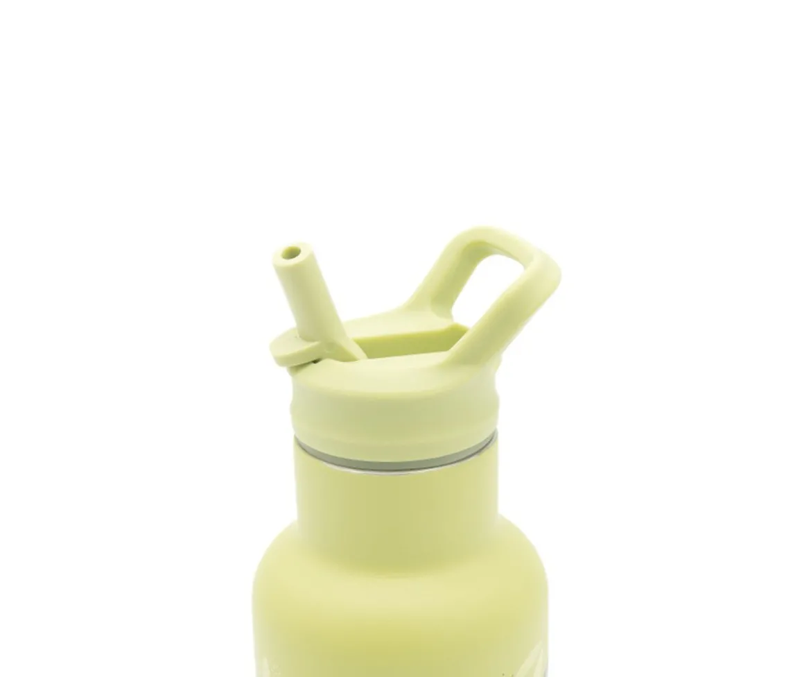 Botella Térmica con Pajita Dinosaurio 350ml