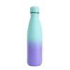 Botella Térmica Gradient Violet & Pastel Green 500 ml