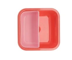 Caja Almuerzo Grande Stripes Bloom & Blush