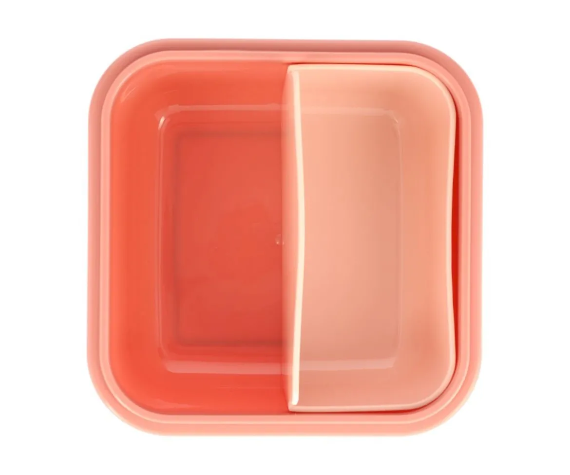 Caja Almuerzo Grande Wild Fairies