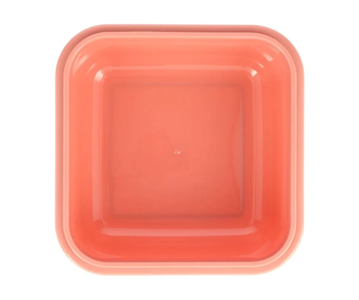Caja Almuerzo Grande Wild Fairies