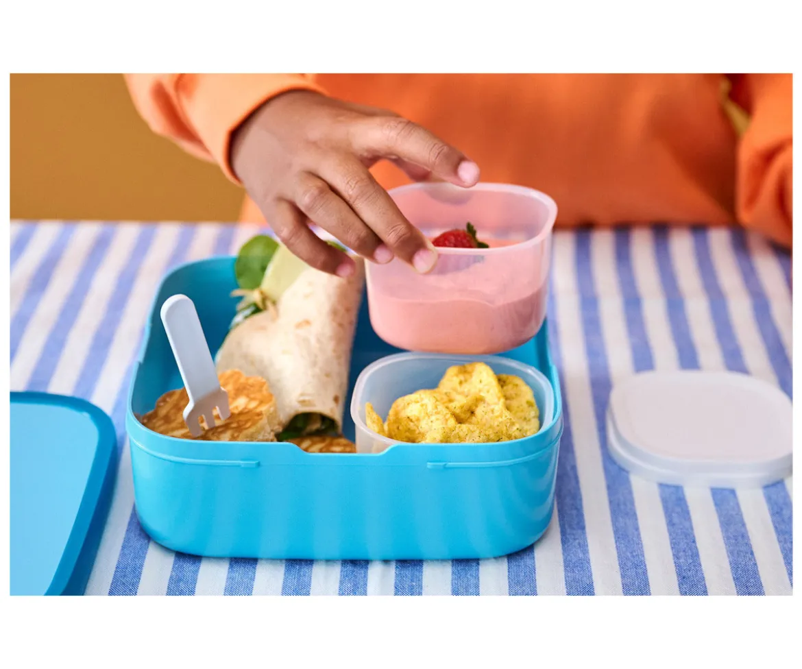 Caja de Almuerzo Bento Campus Grande Frozen Friends