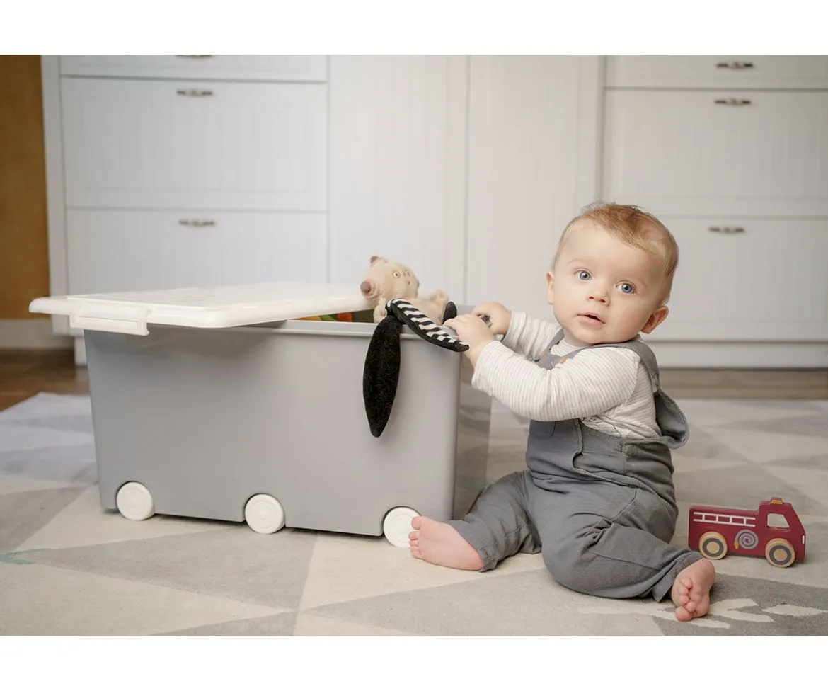 Caja Multifunción Navy