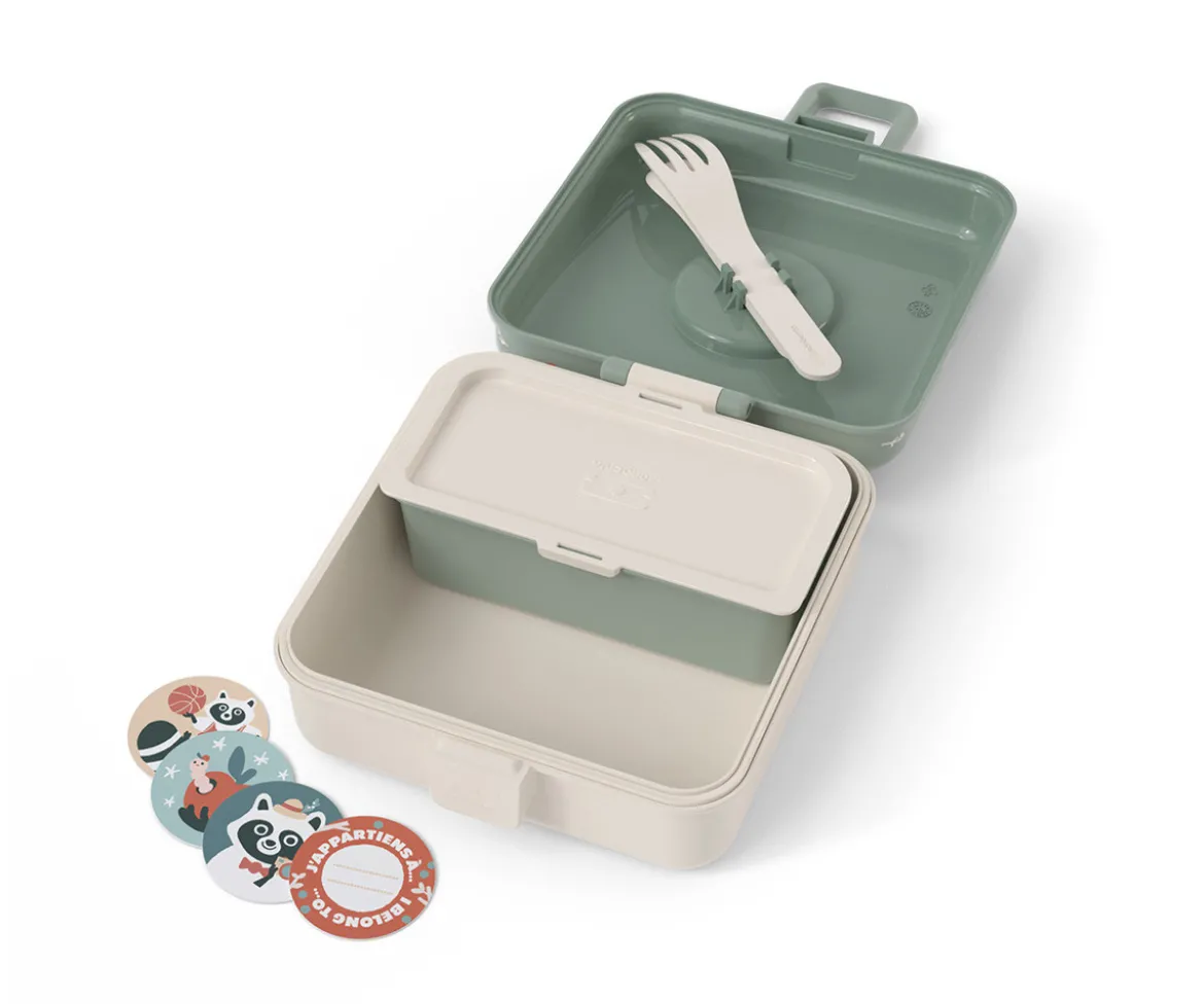 Caja Snaky Raccoon