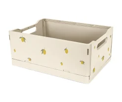 2 Cajas Plegables Lemon