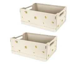 2 Cajas Plegables Lemon