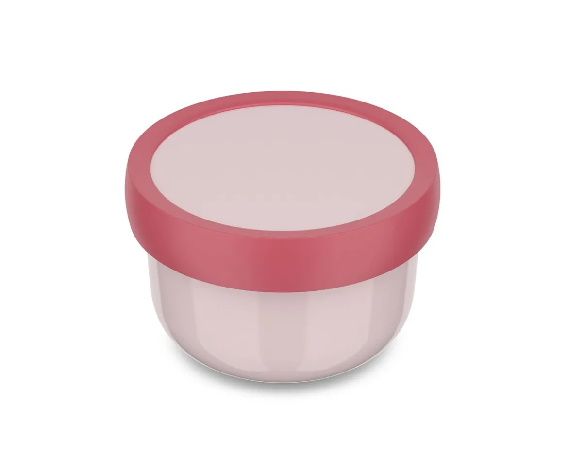 Cajita para Fruta Personalizada Campus Cool Pink Blossom Birds