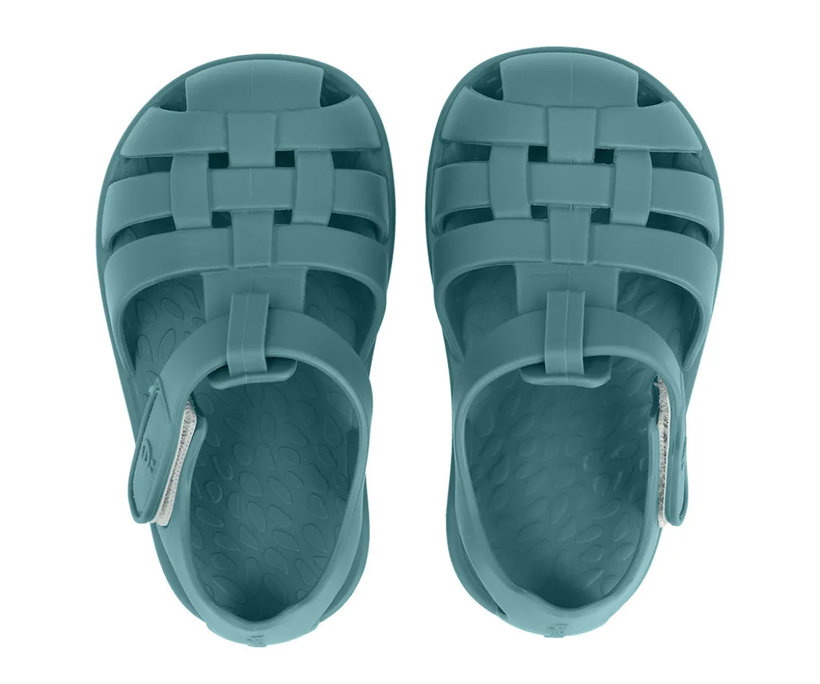 Cangrejeras Infantil Monnëka Whale Teal