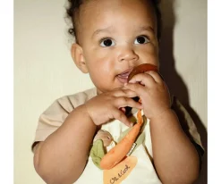 Chupetero Eco Cathy the Carrot