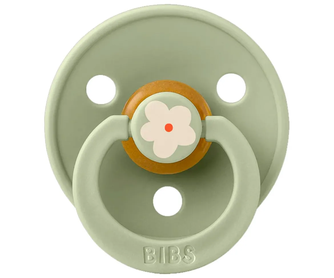2 Chupetes BIBS Studio Colour Round Jasmine Sage Mix
