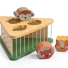 Clasificador de Formas Wildlife FSC
