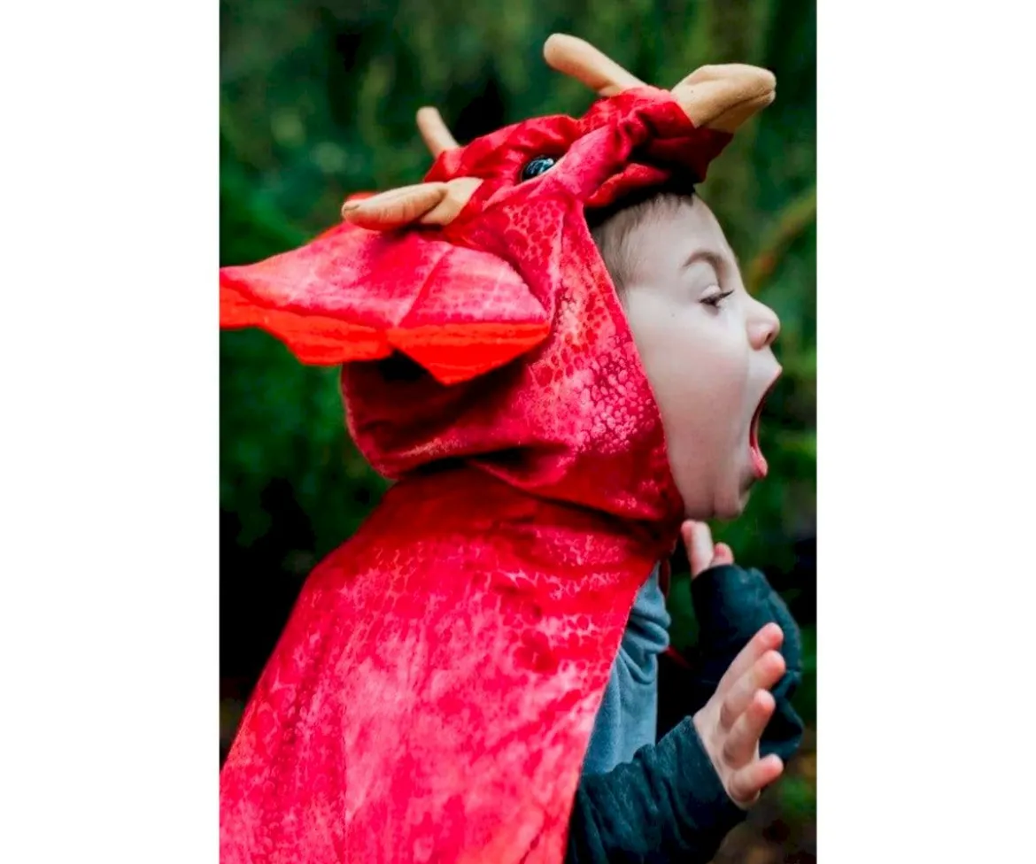 Disfraz Capa Triceratops Hooded Rojo 4-5 años