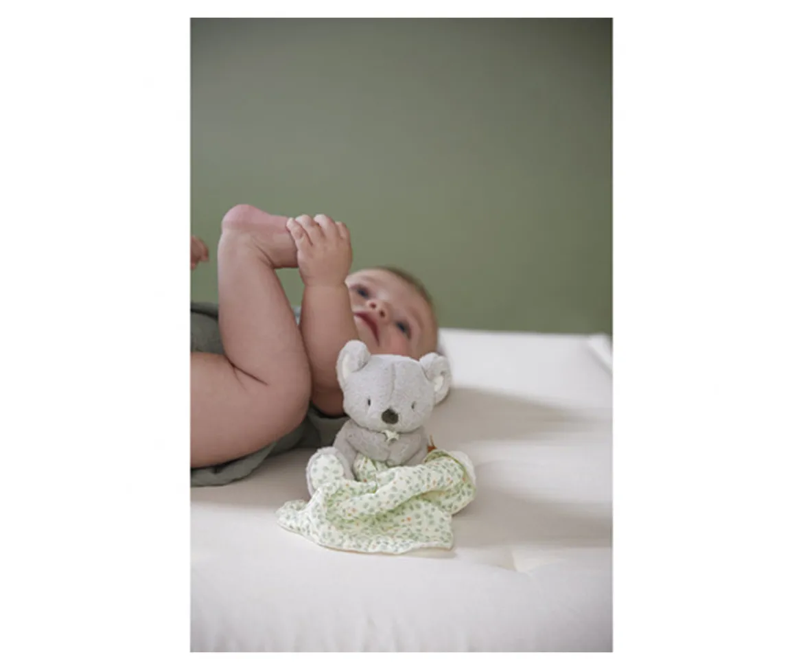 Dou Dou Koala Personalizable