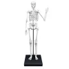 Esqueleto Gigante 85 cm