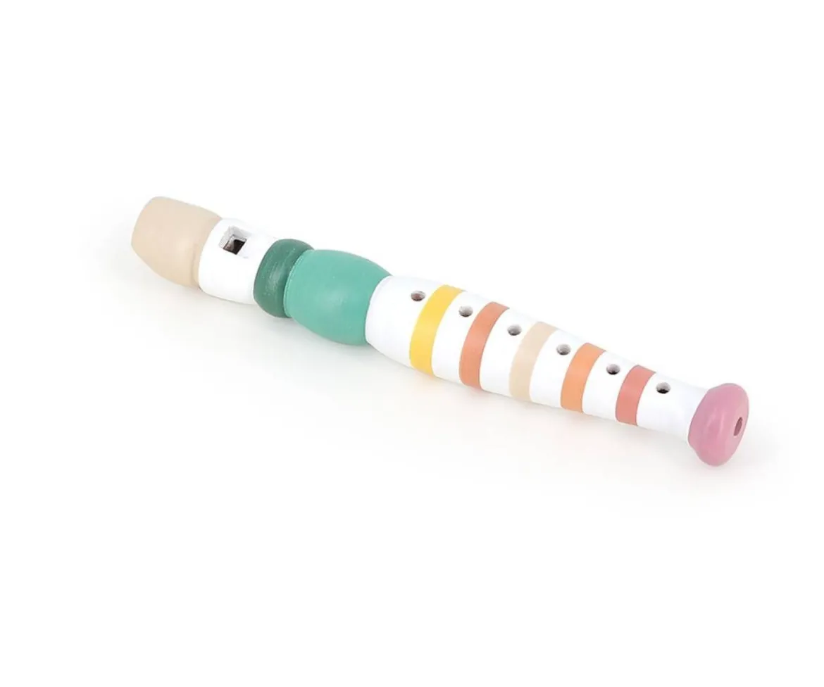 Flauta Madera Multicolor