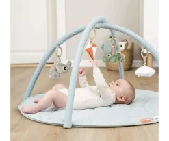 Gimnasio Actividades Playground Blue