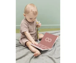 Libro Para Contar All Animals