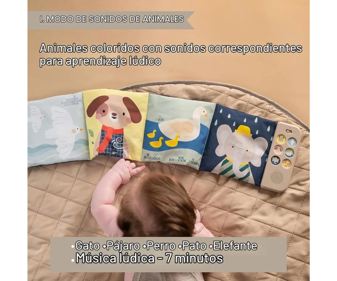 Libro Sensorial Musical