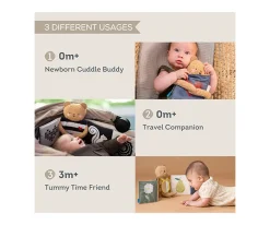 Libro Sensorial Snuggle Bear
