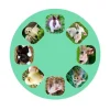 Linterna Proyector Animales Bebés