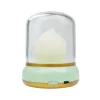 Luz Nocturna LED Flama Verde