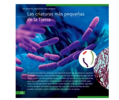 Microscopio Levenhuk LabZZ M101 Azul + Libro Educativo