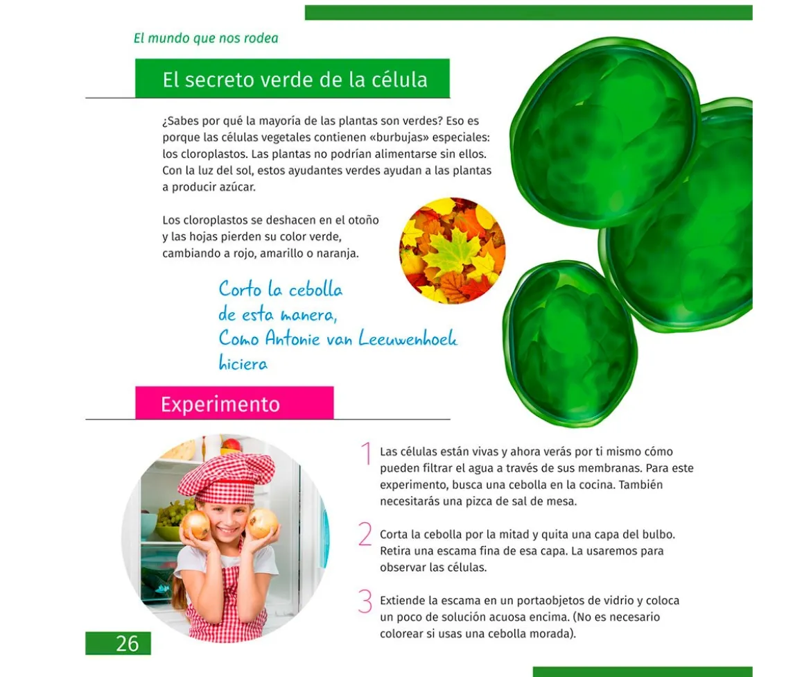 Microscopio Levenhuk LabZZ M101 Naranja + Libro Educativo