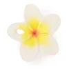 Mini Flor Mordedor Látex Oli&Carol Hawaii Flower