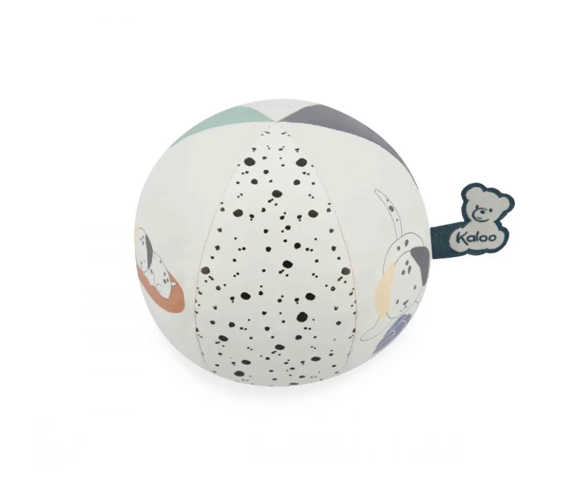 Mi Pelota Cachorro