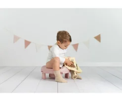 Orinal Plegable 2 en 1 Pink