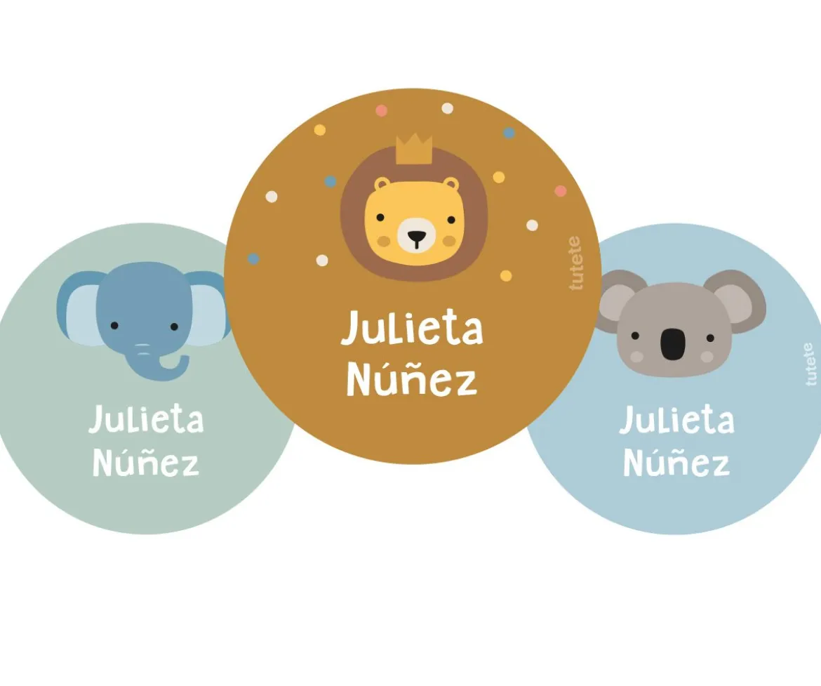 Pack 3 chapas Personalizadas Animal Friends