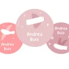 Pack 3 Chapas Personalizadas Blossom Birds