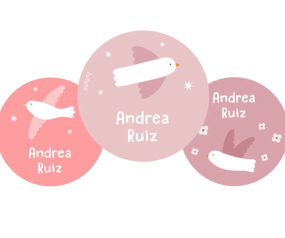 Pack 3 Chapas Personalizadas Blossom Birds