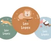 Pack 3 chapas Personalizadas Savannah