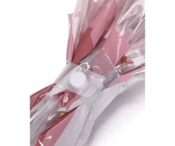 Paraguas Transparente Magical Unicorn