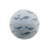Pelota de Playa Ocean Blue