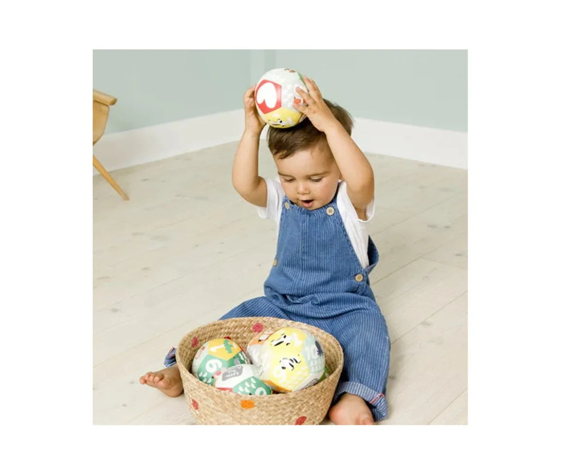 Pelota Educativa Granja