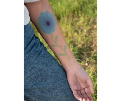 Pintura de Cara Verde