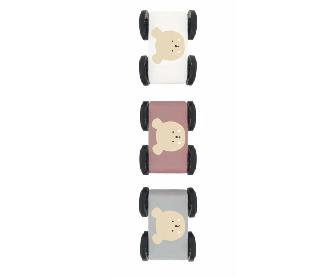 Pista de Coches Teddy