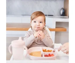 Plato de Silicona con Tapa Blush