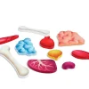 Puzzle Cuerpo Humano