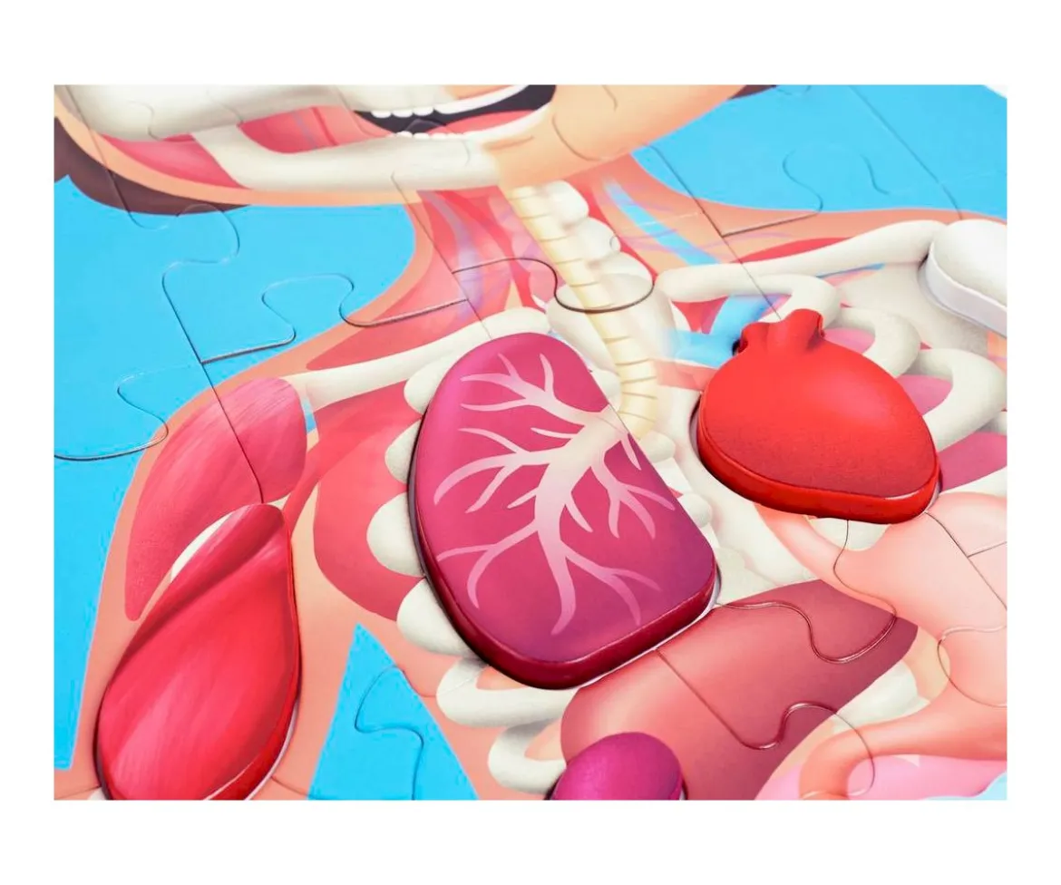 Puzzle Cuerpo Humano