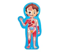 Puzzle Cuerpo Humano