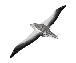 Puzzle 3D Eugy Royal Albatross