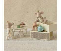 Ratones Gemelos Reales en Caja de Cerillas