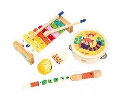 Set de Instrumentos Musicales Gioia